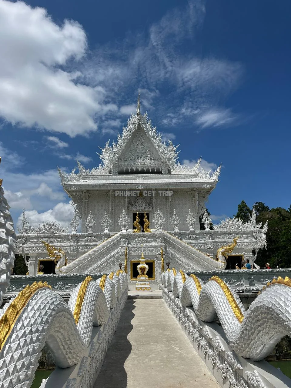 Сияние планктона